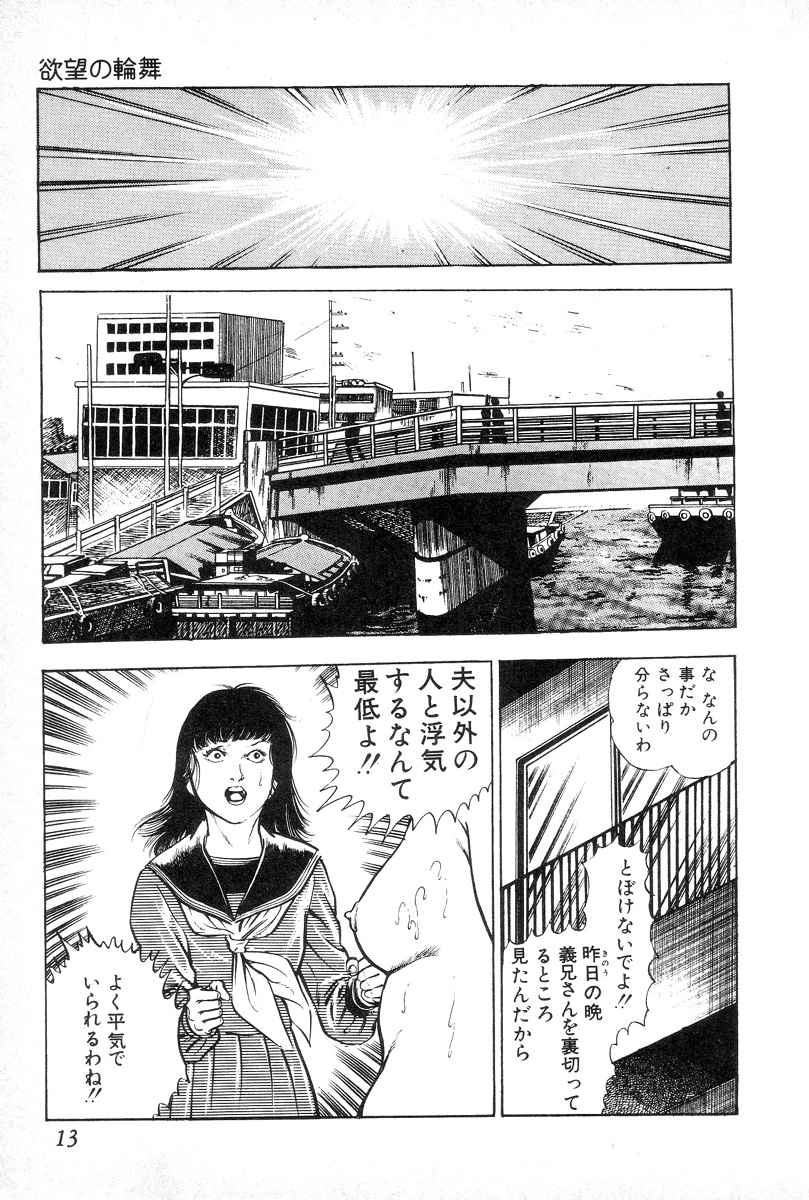 Yokubou no Rinbu | Dance of Desire - Page 17