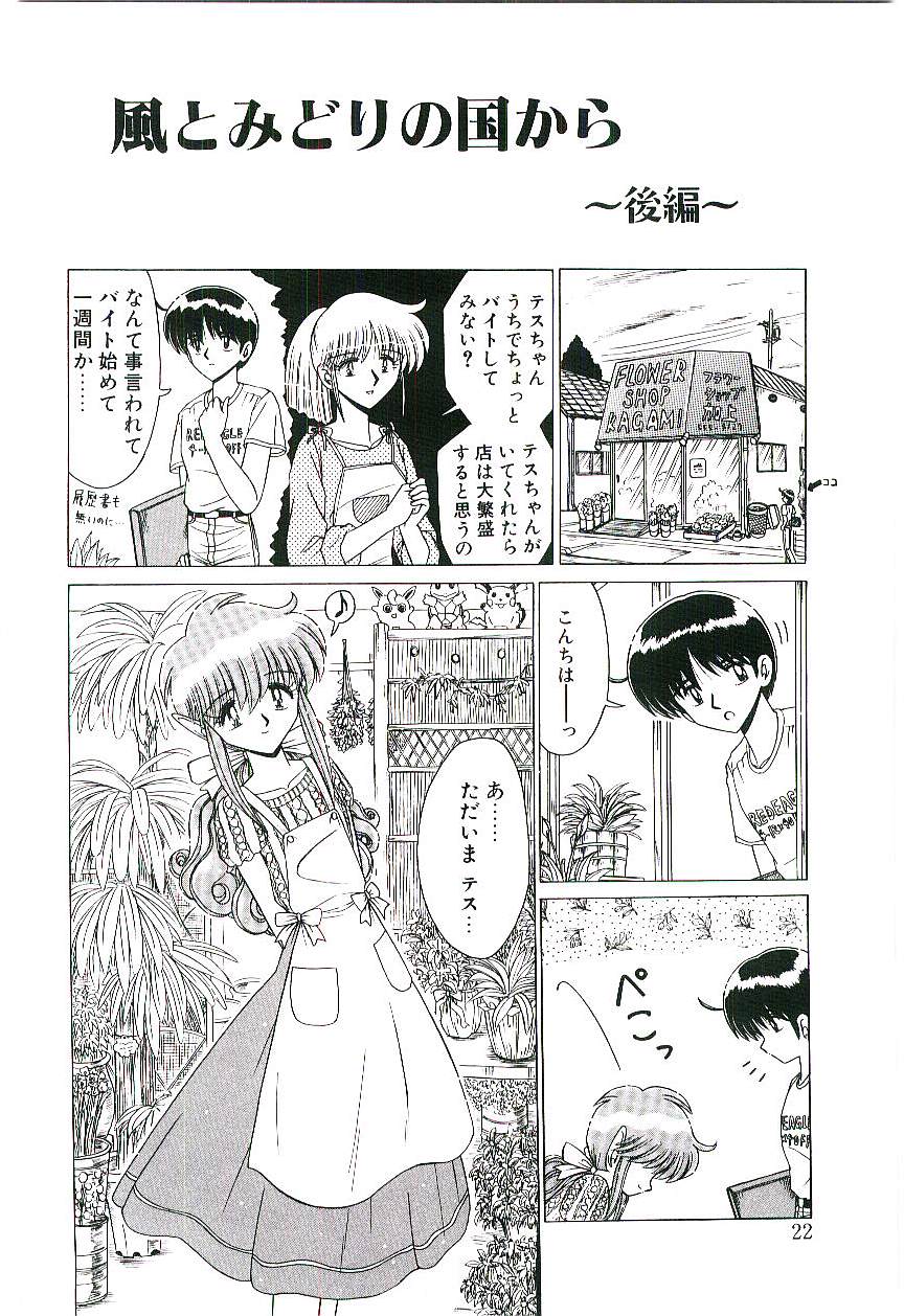 Kaze to Midori no Kuni kara - Page 23