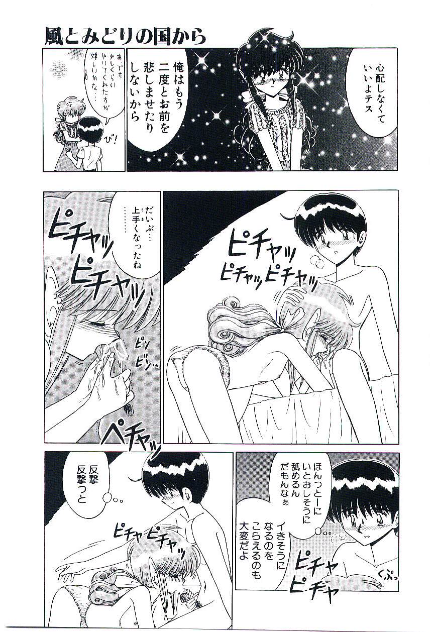 Kaze to Midori no Kuni kara - Page 28