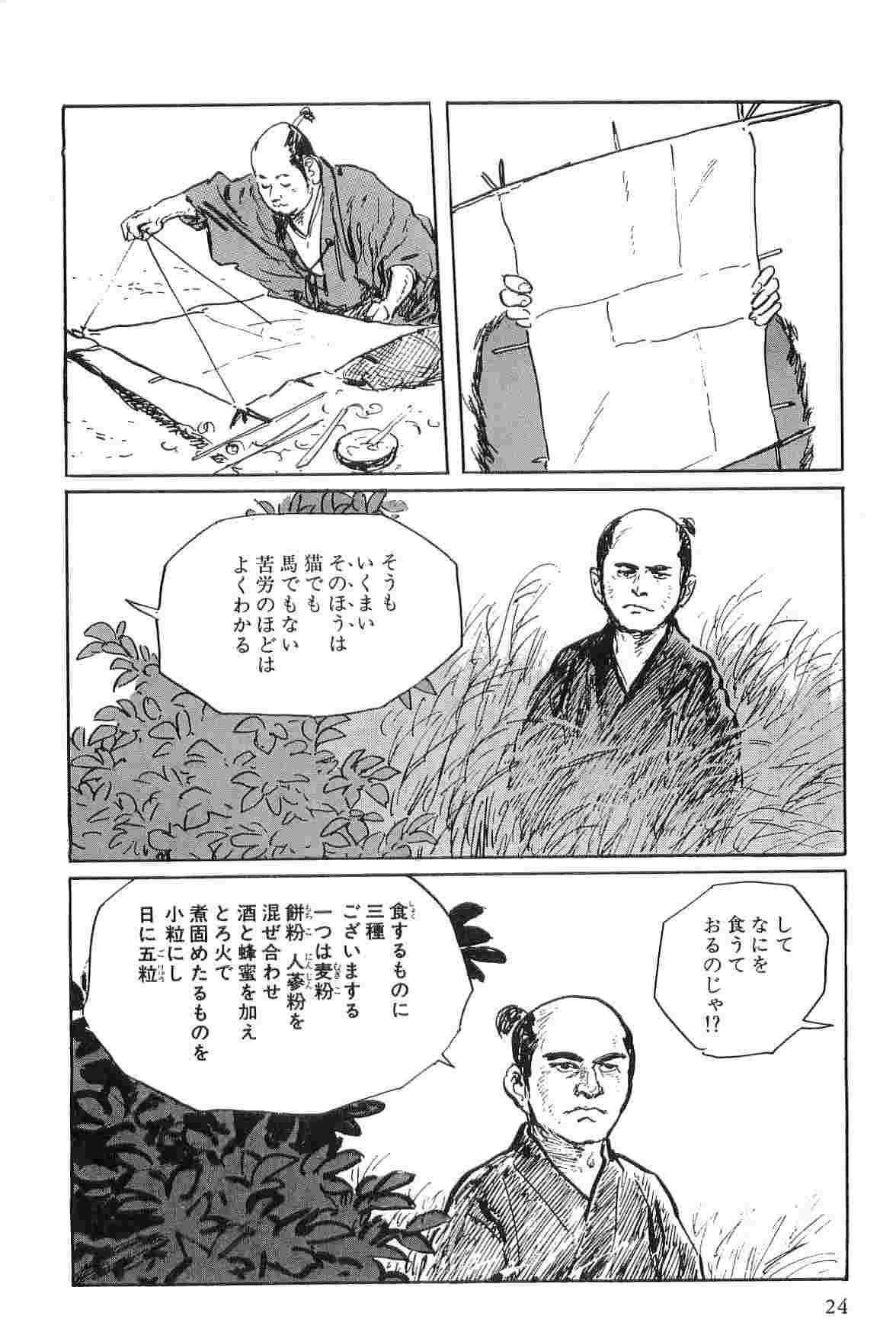 Hanzou no Mon Vol.2 - Page 27