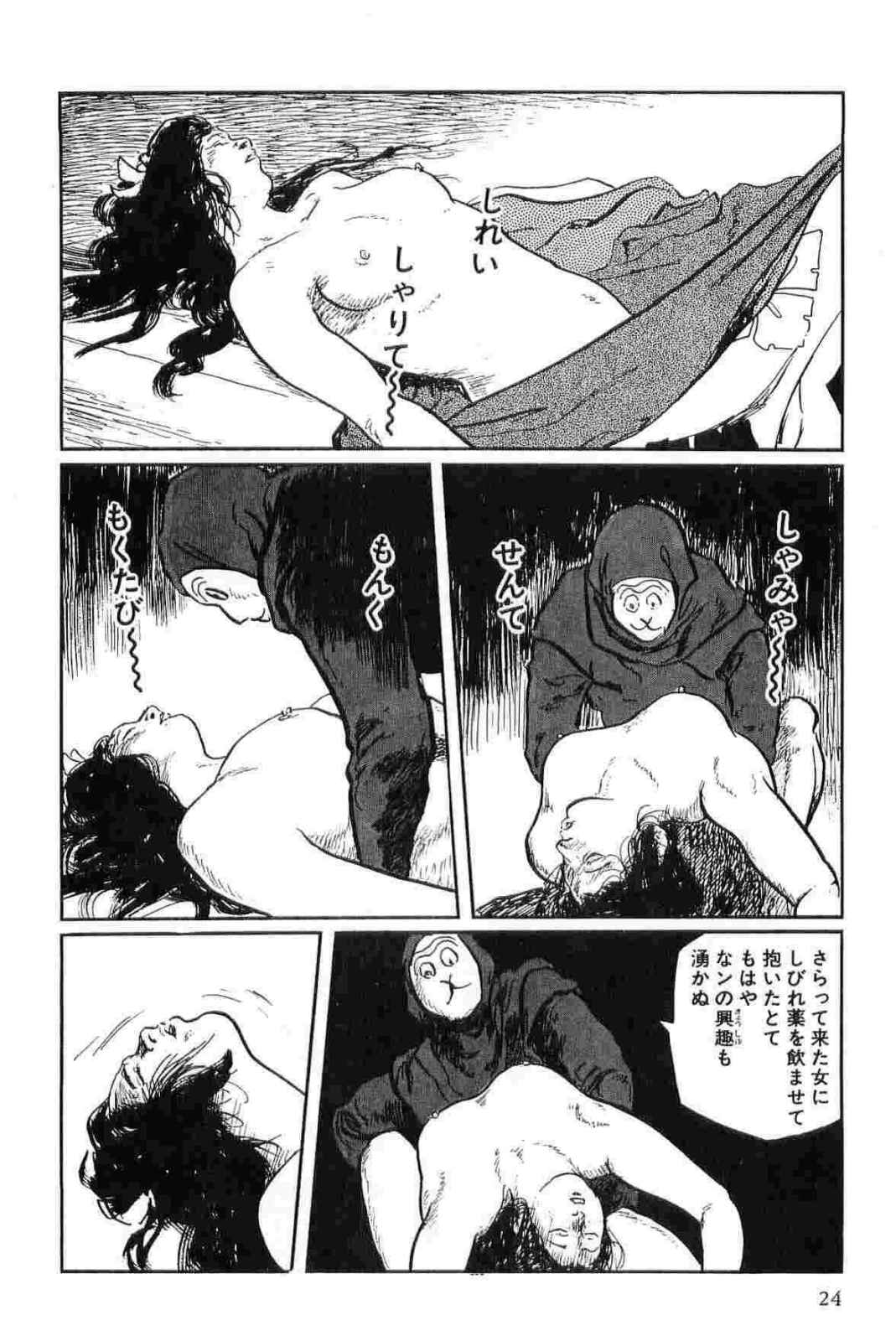 Hanzou no Mon Vol.15 - Page 27