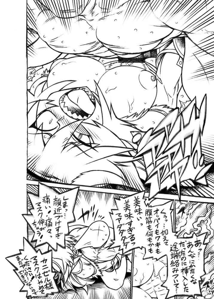 御誕生日記念カニゼル様 - Page 12