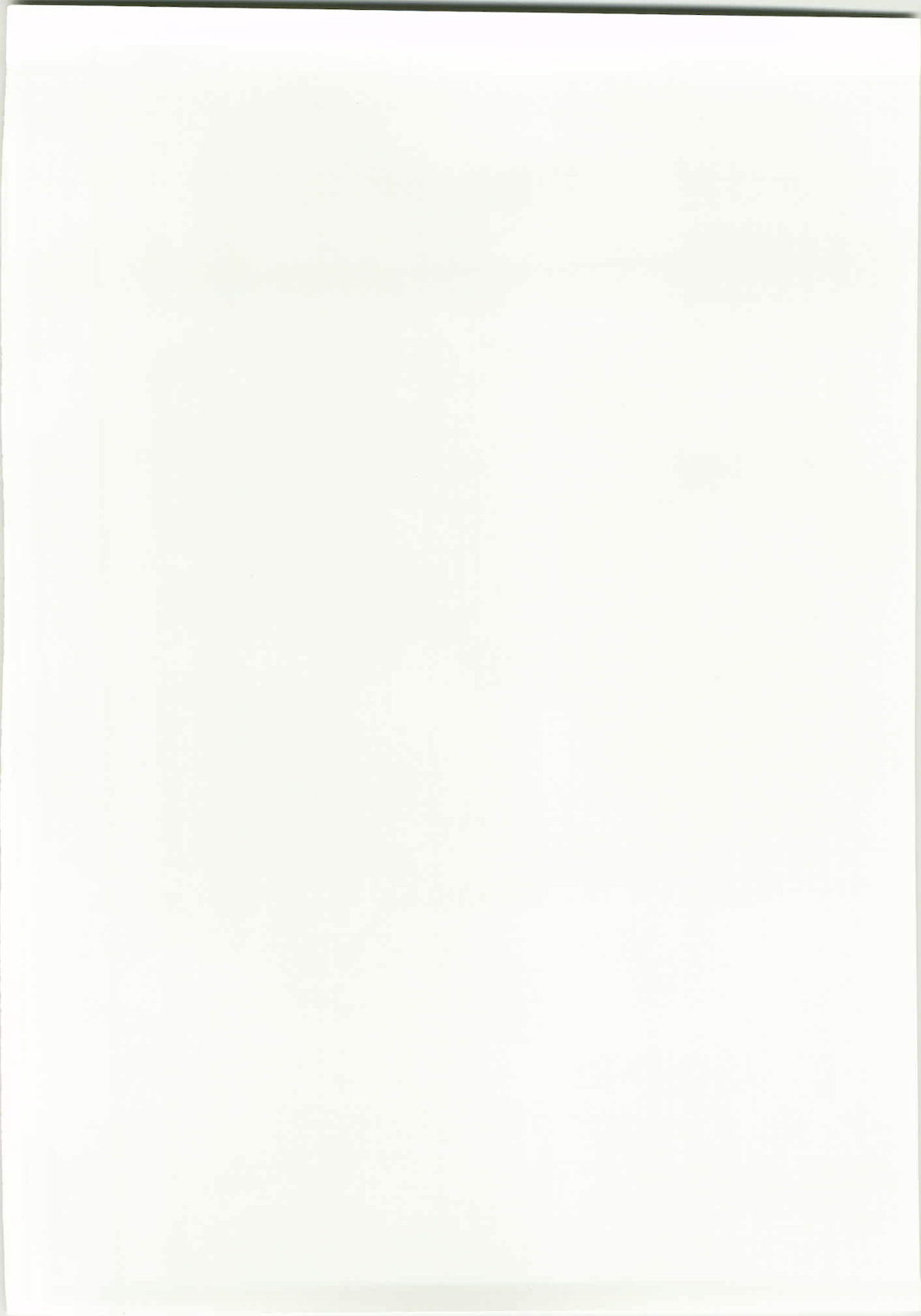 Marisa to Kinoko to Kichiku na Miko - Page 2