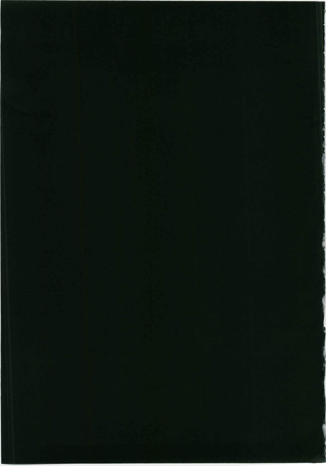 Marisa to Kinoko to Kichiku na Miko - Page 29