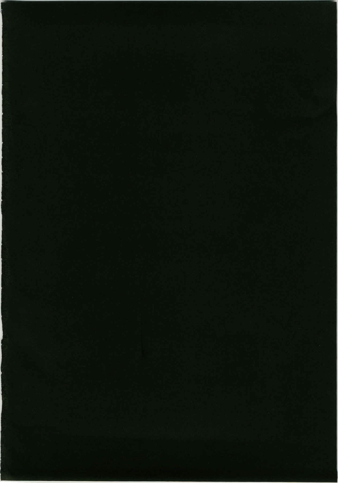 Marisa to Kinoko to Kichiku na Miko - Page 30