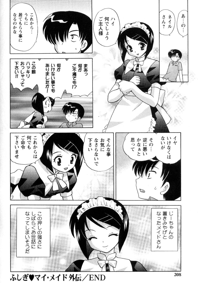 Kanzen Fukujuu Maid - Page 211