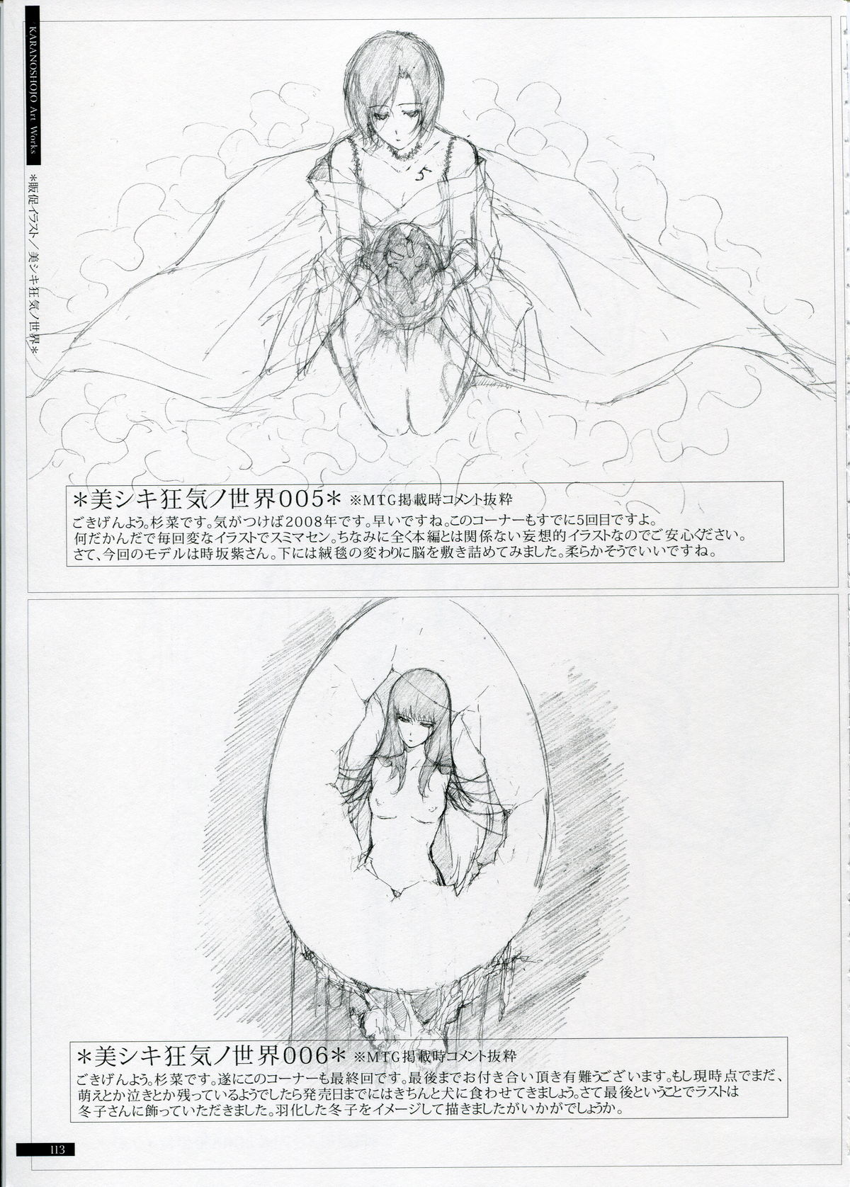 SHEOL KARANOSHOJO Art Work - Page 113