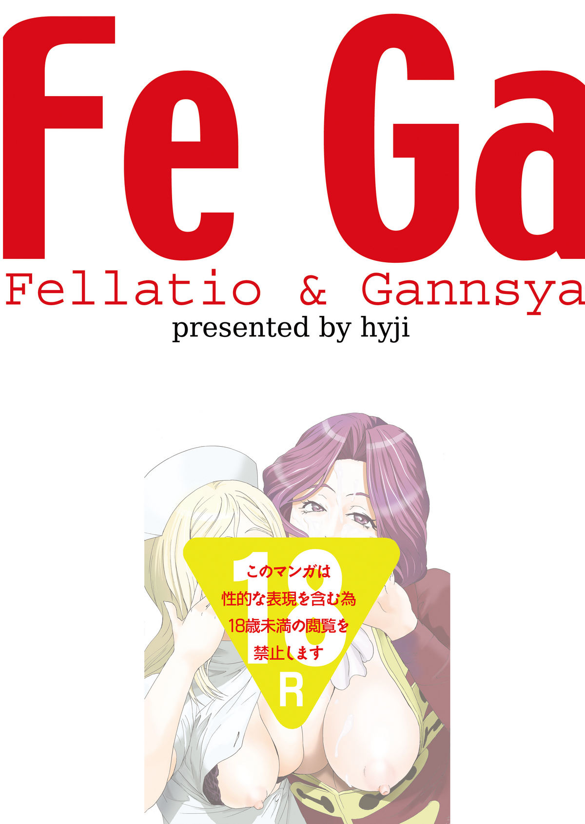 FeGa - Page 33