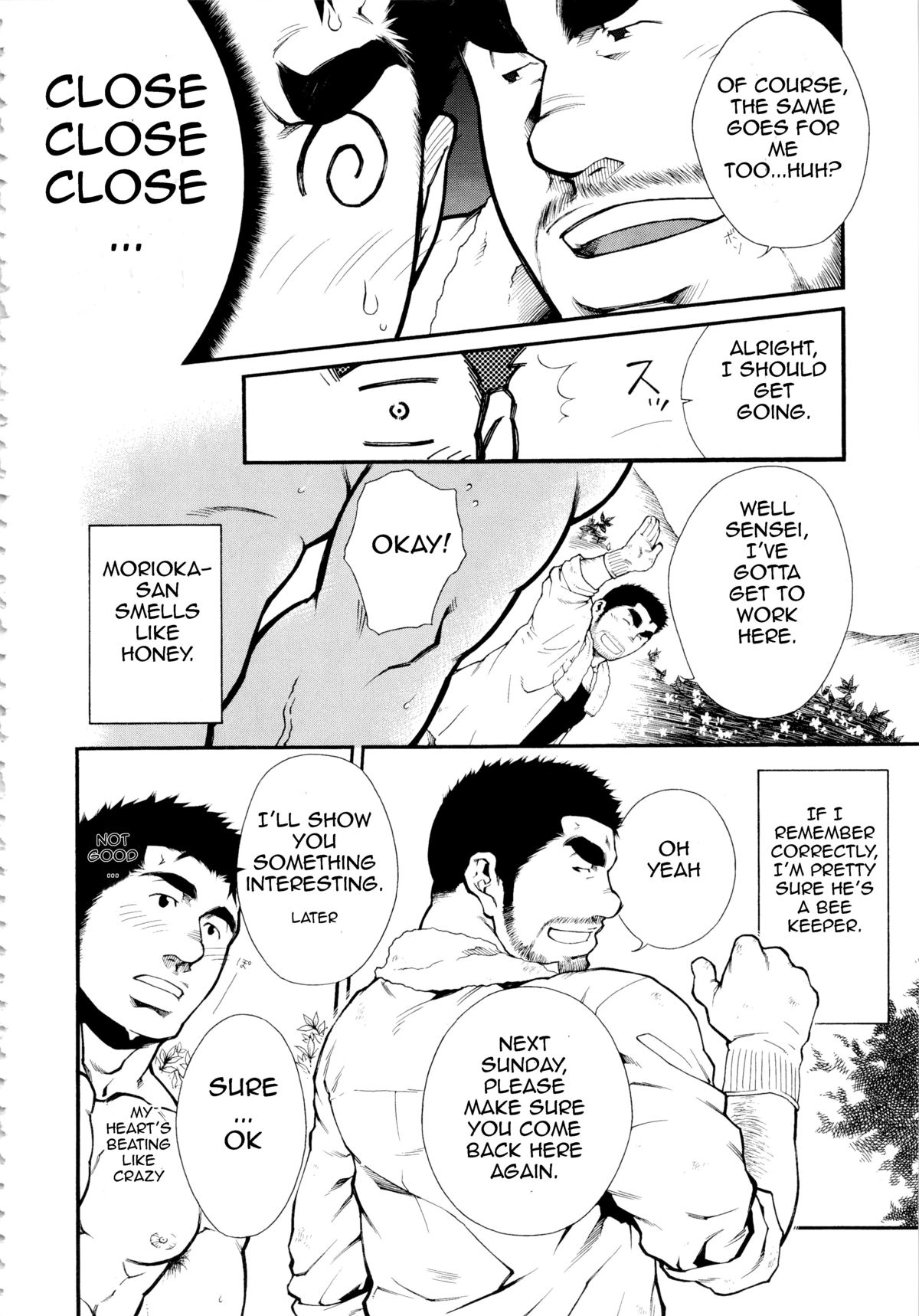 Male Honey Bee - Page 4