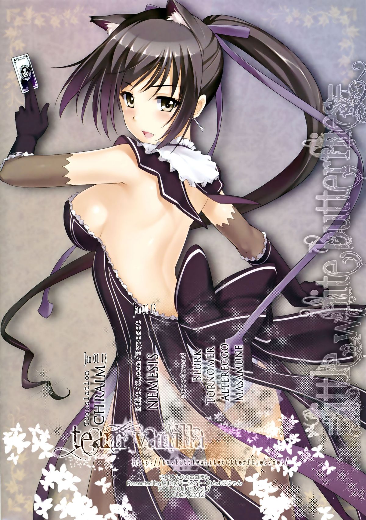 Shining no Erohon | Shining Erotic Book - Page 17