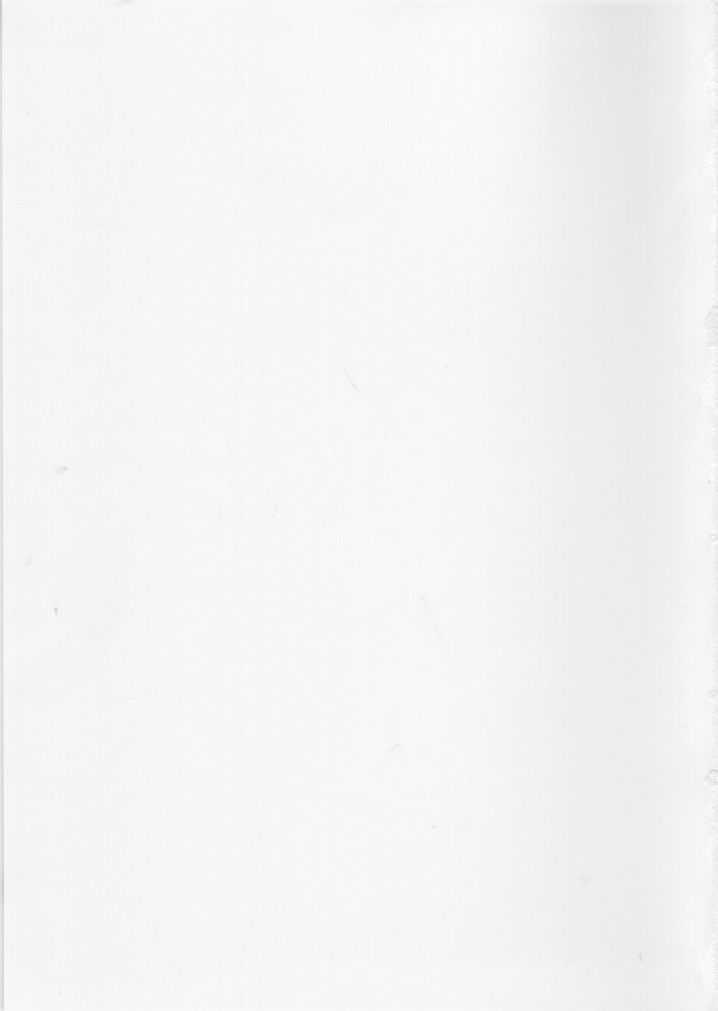 CERAMIC HEART - Page 23