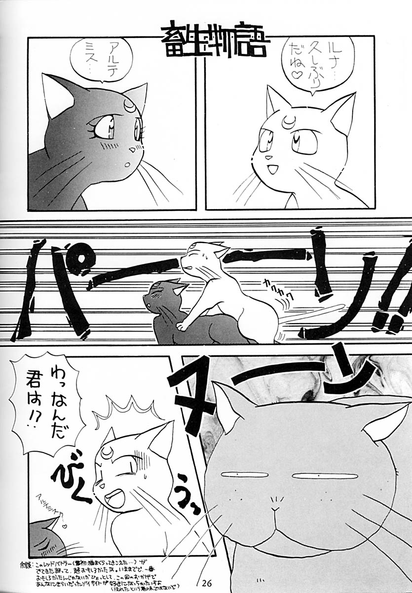 Princess Moon - Page 27