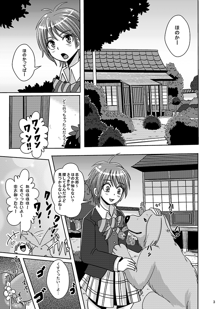 Preview page 2