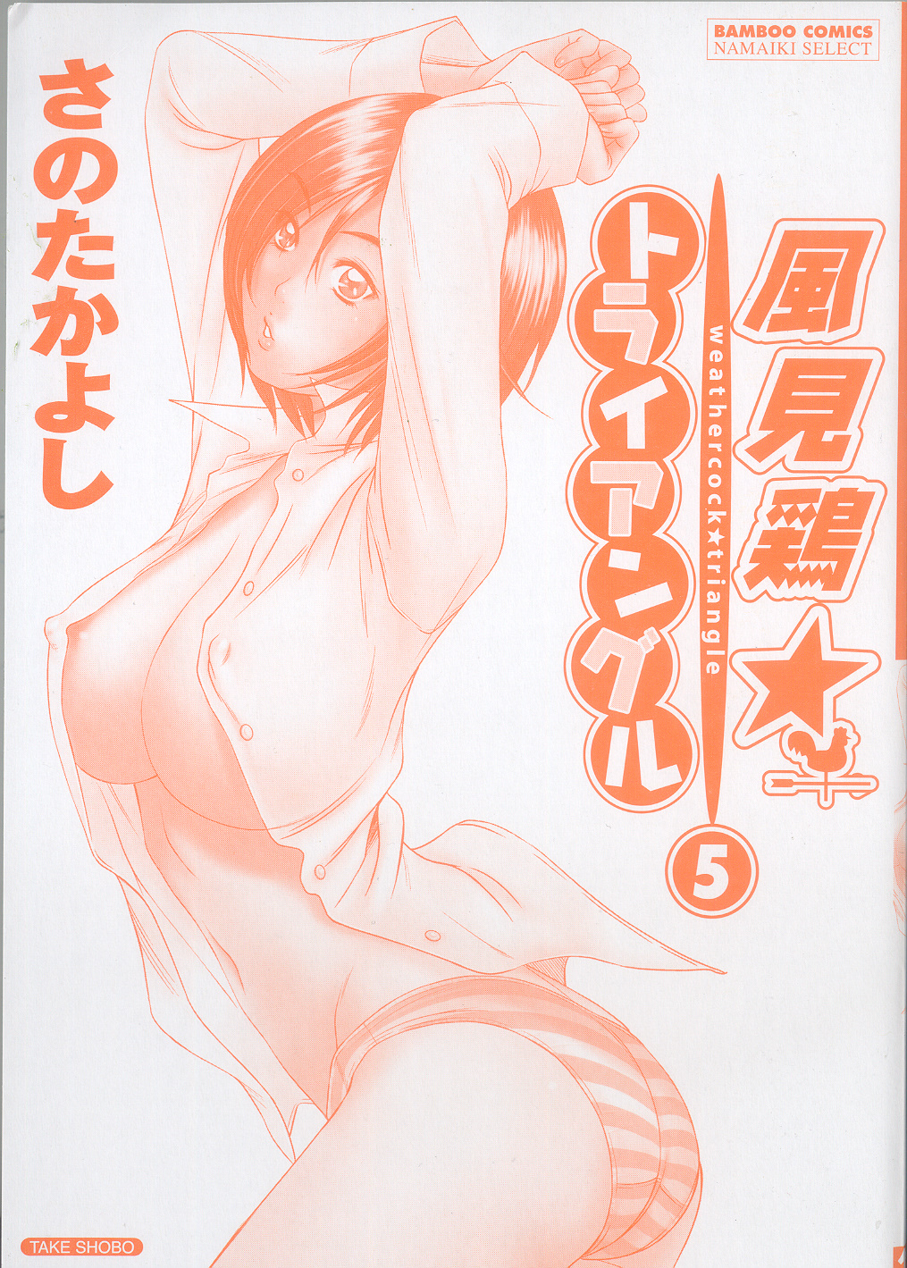 Kazamidori Triangle 5 - Page 2