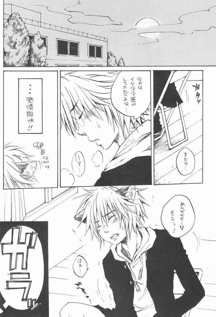 Shounen Curry Lunch - Page 27