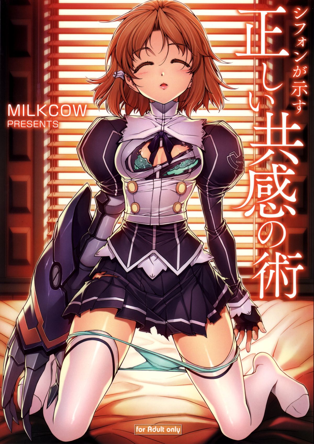 Shifon ga Shimesu Tadashī Kyoukan no Jutsu - Page 1