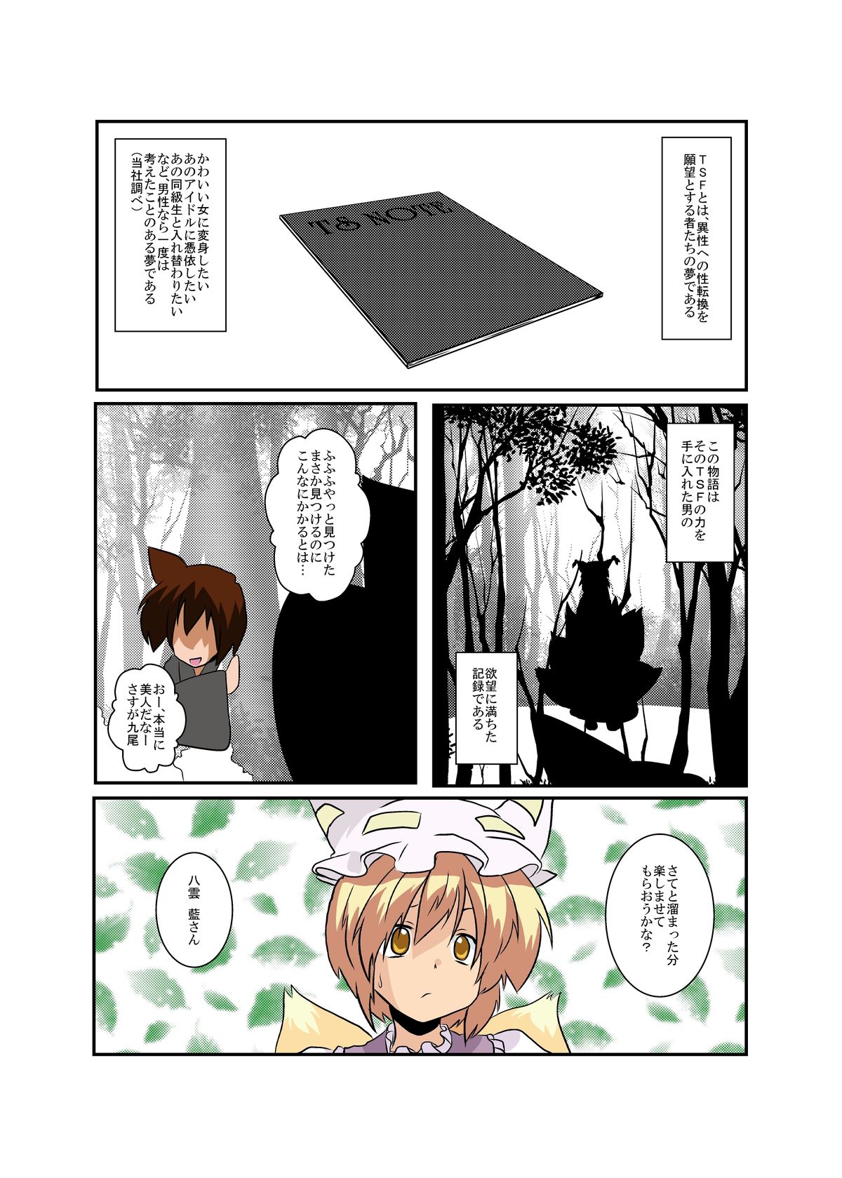 Touhou TS monogatari - Page 4