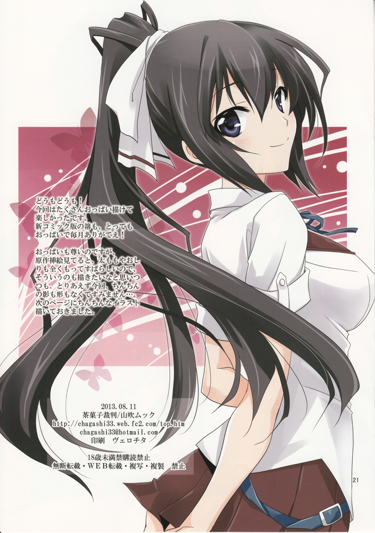Burst Up! Infinite Stratos FAN BOOK - Page 20