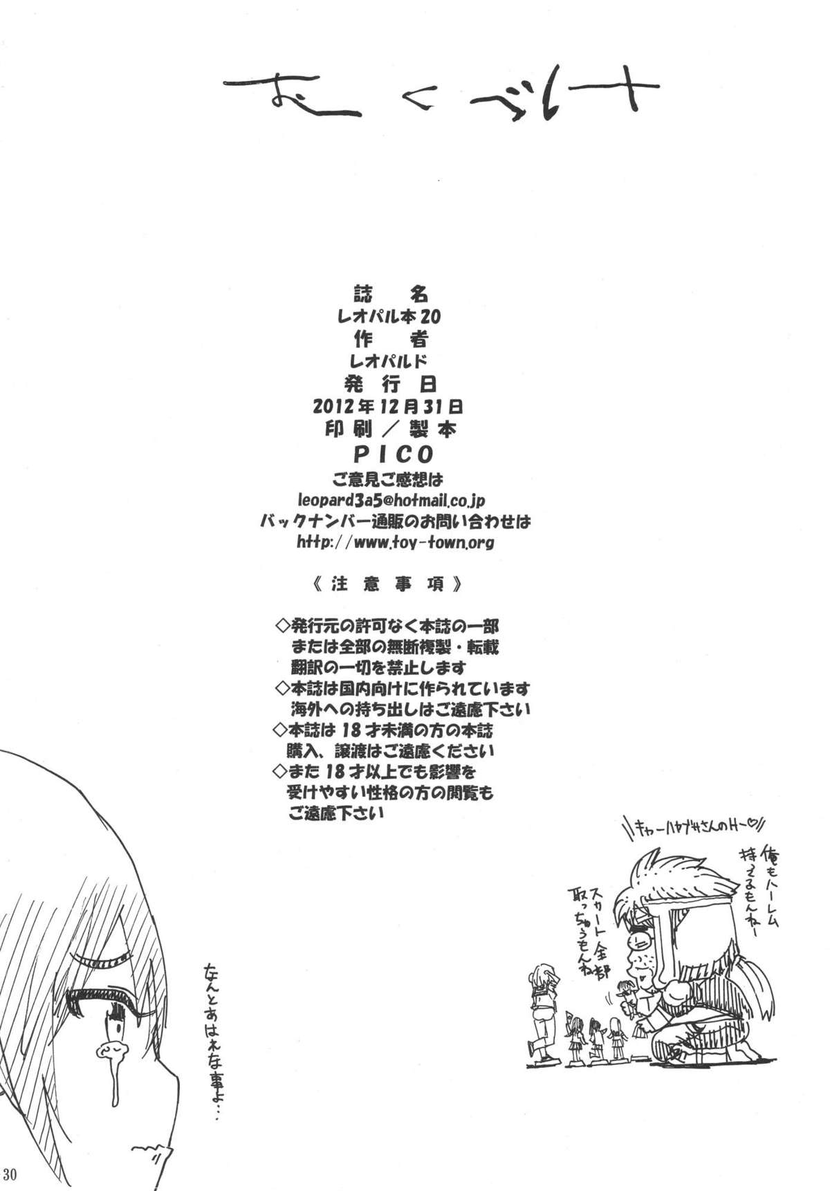 Leopard Hon 20 - Page 29