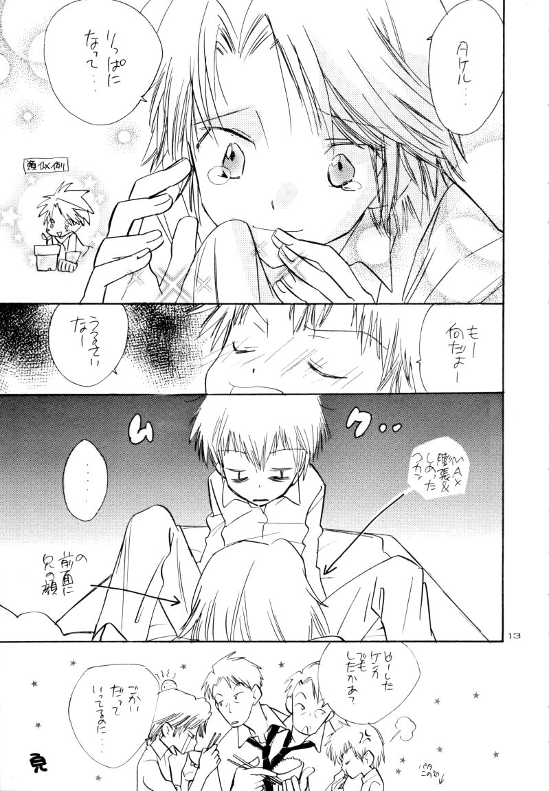 Zenda Shiro no Toriko - Page 14