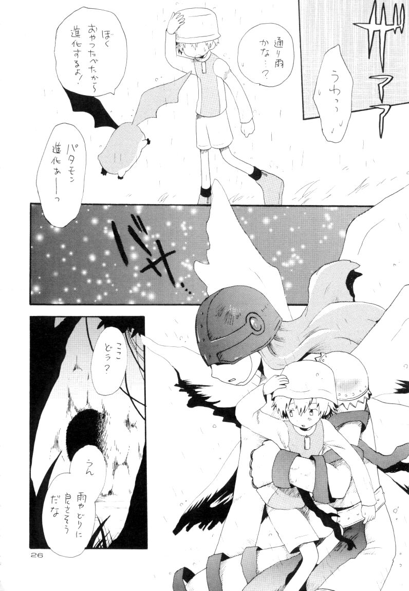 Zenda Shiro no Toriko - Page 27