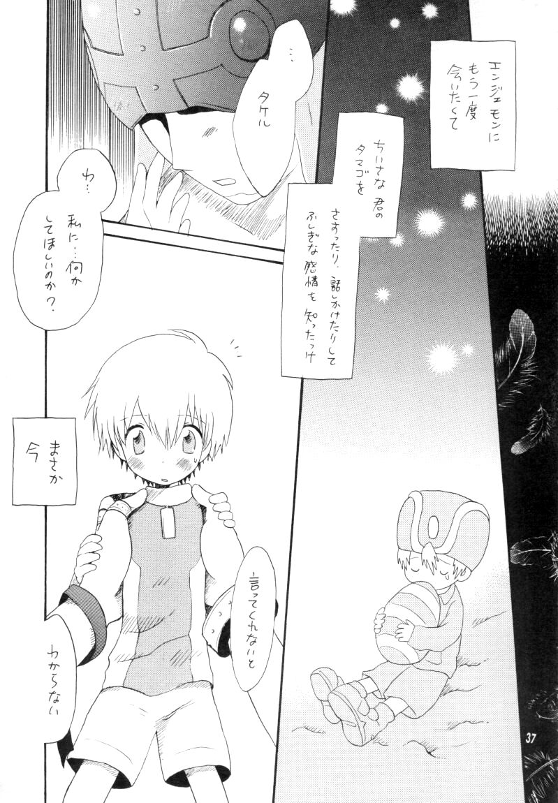 Zenda Shiro no Toriko - Page 38