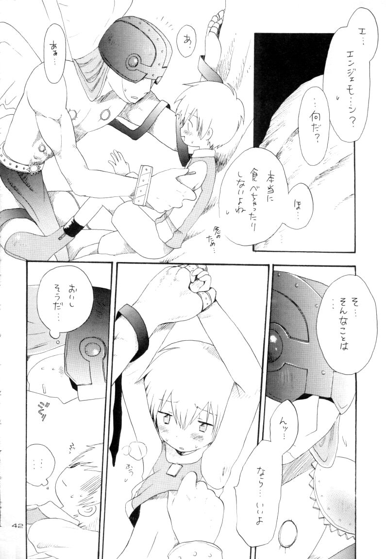 Zenda Shiro no Toriko - Page 43