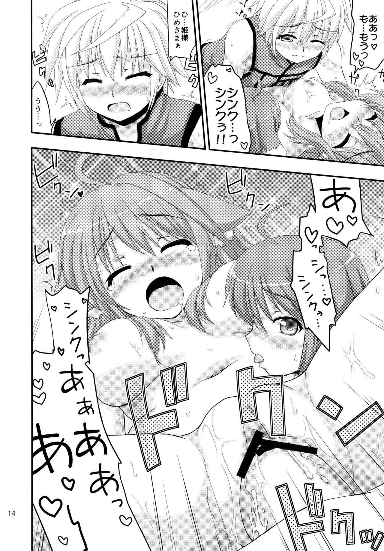 Hime-sama to Eclair ga H-na Koto o suru Hon - Page 14